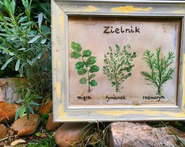 Zielnik